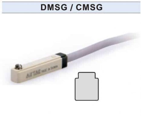 DMSG-CMSG